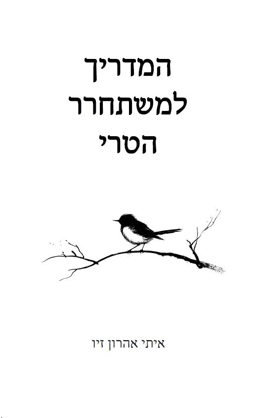 המדריך למשתחרר הטרי